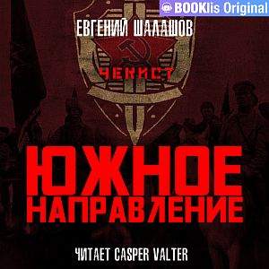 Чекист 7. Южное направление - Евгений Шалашов