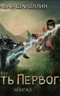 Убить первого. Книга 3 - Иван Шайдулин