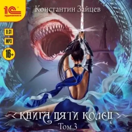 Книга пяти колец. Том  3 - Константин  Зайцев
