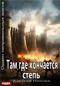 Орден неправильных магов 4. Там, где кончается степь - Алексей Пинчук
